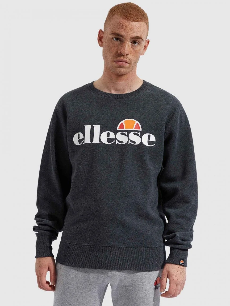 Кофта чоловіча Ellesse Sl Succiso Sweatshirt (SHC07930-106)