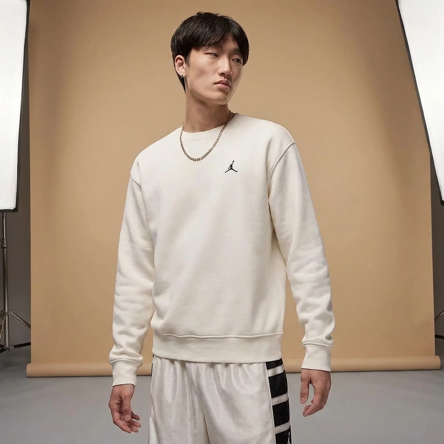 Кофта чоловіча Jordan Air Jordan Brooklyn Fleece Fz Crew Beige (FV7293-133)