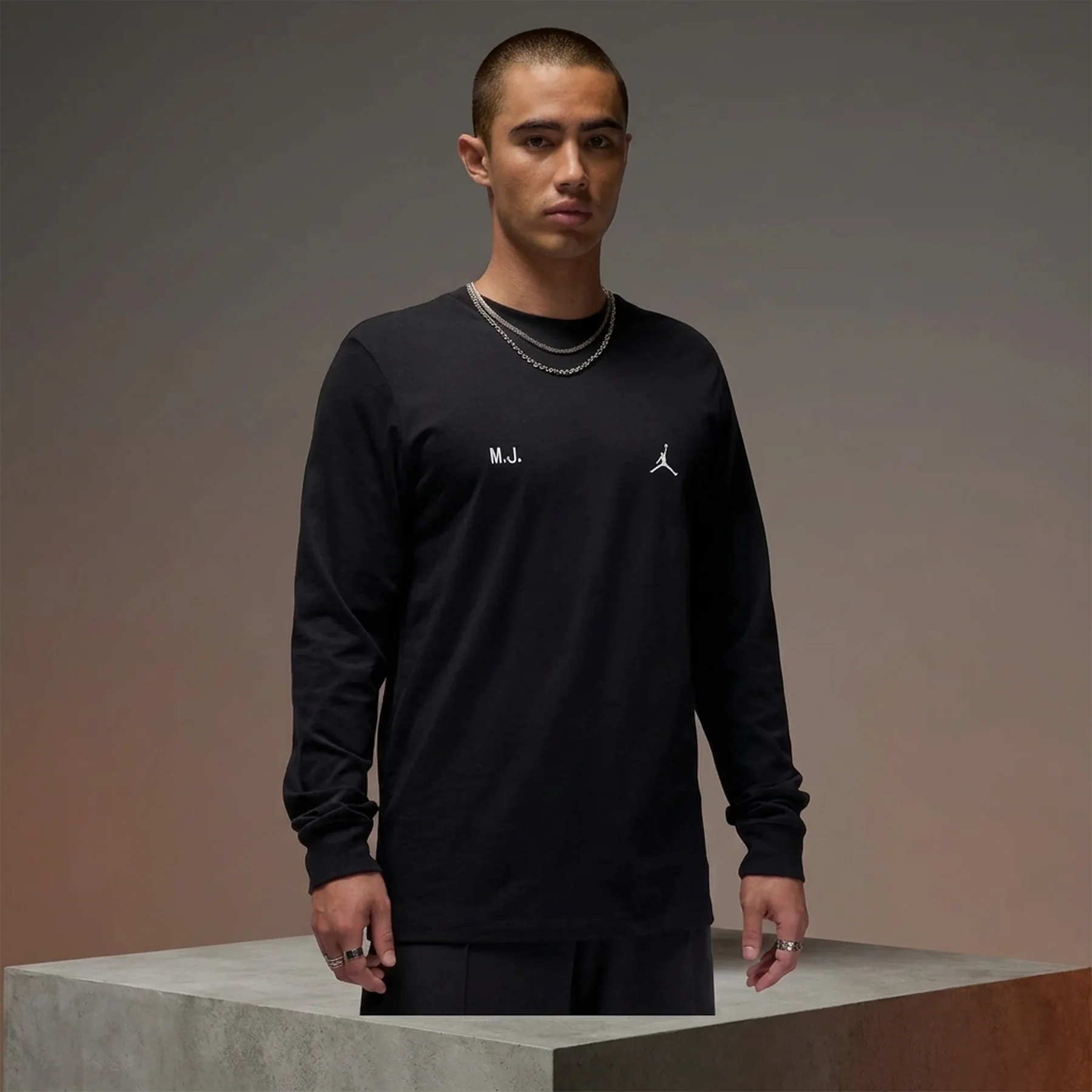 Кофта чоловіча Jordan M J Brand Never Ls Crew (FZ1934-010)