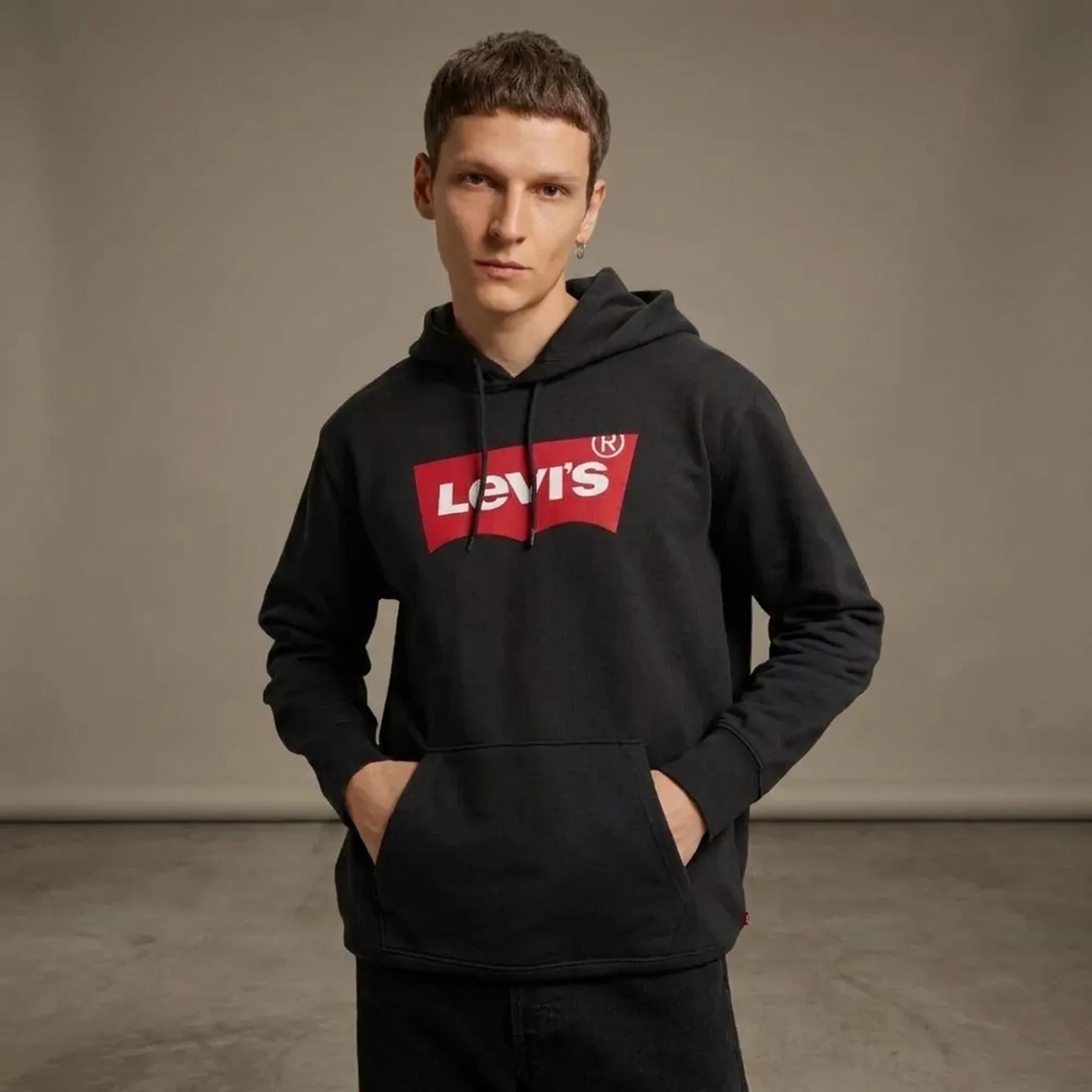 Кофта чоловіча Levi's Logo Hoodie (384240001)