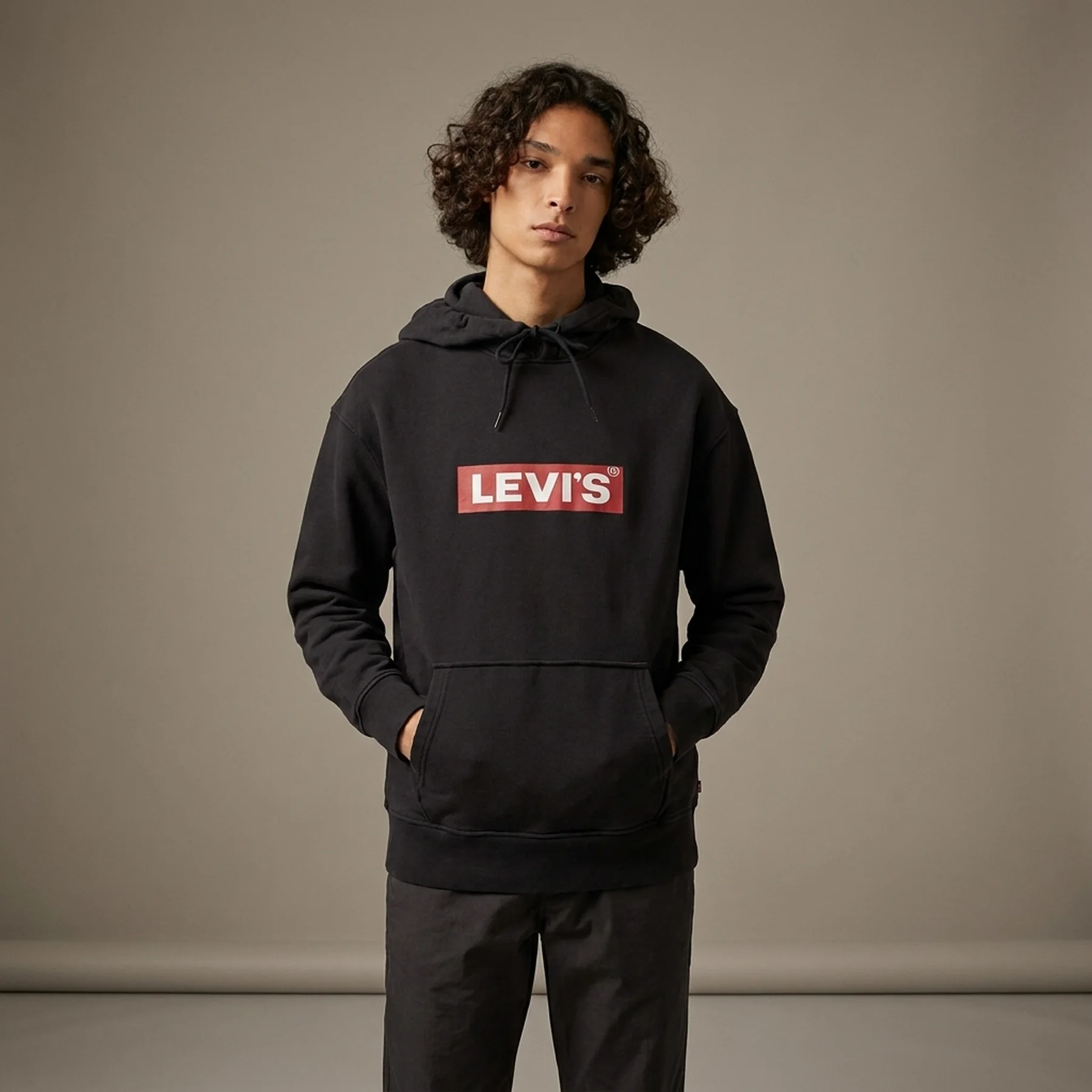 Кофта чоловіча Levi's Men's Logo Printed Hoodie (388210114)