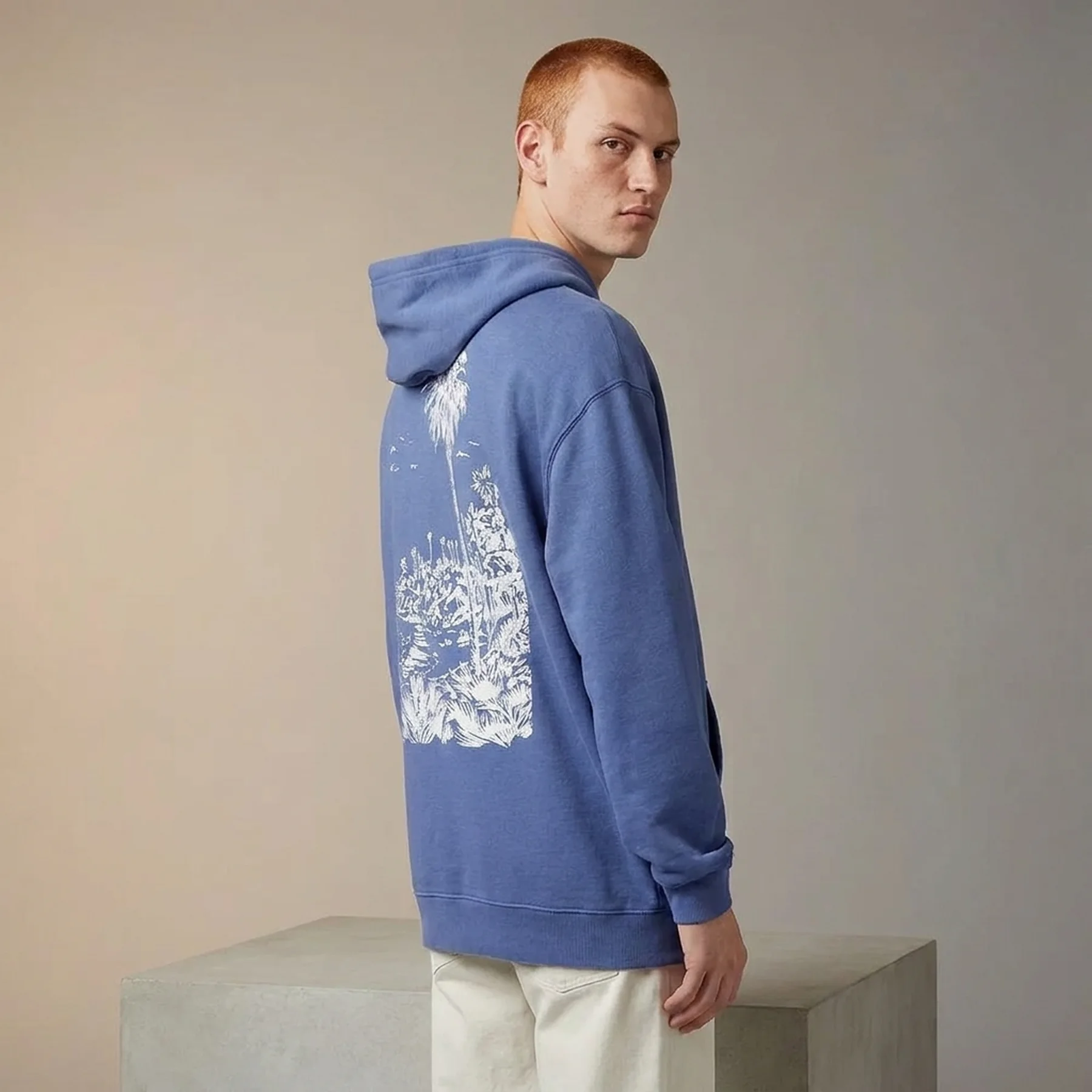 Кофта чоловіча Levi's Relaxed Fit Graphic Hoodie Blue (384790296)