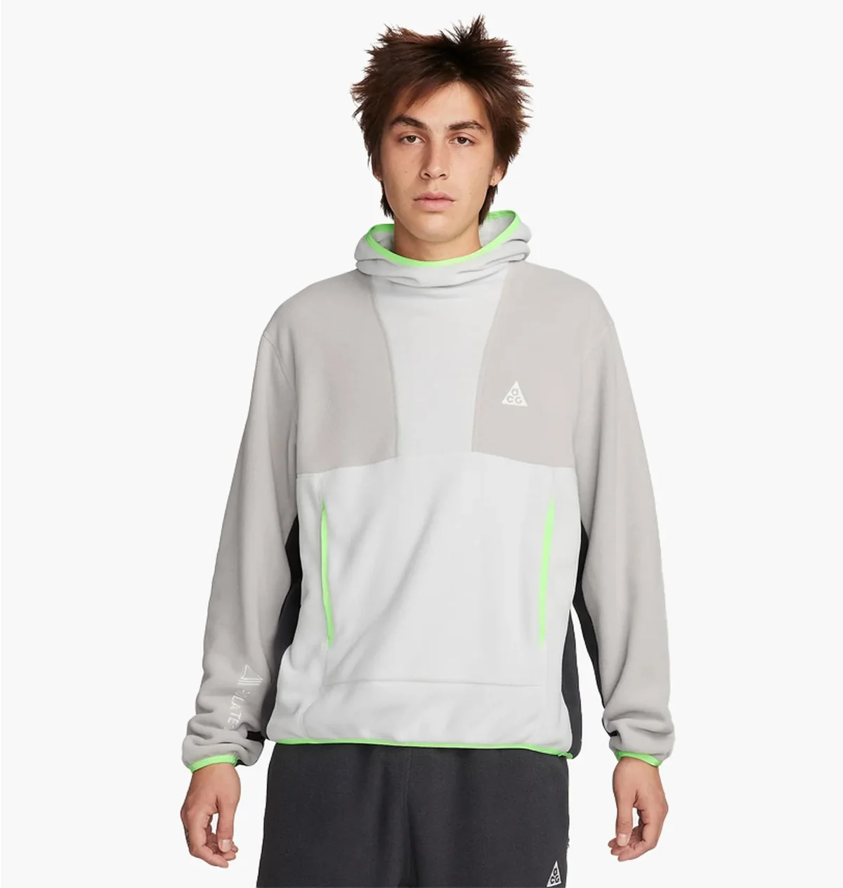 Кофта чоловіча Nike Acg Wolf Tree Pullover Hoodie Grey (FN0370-025)