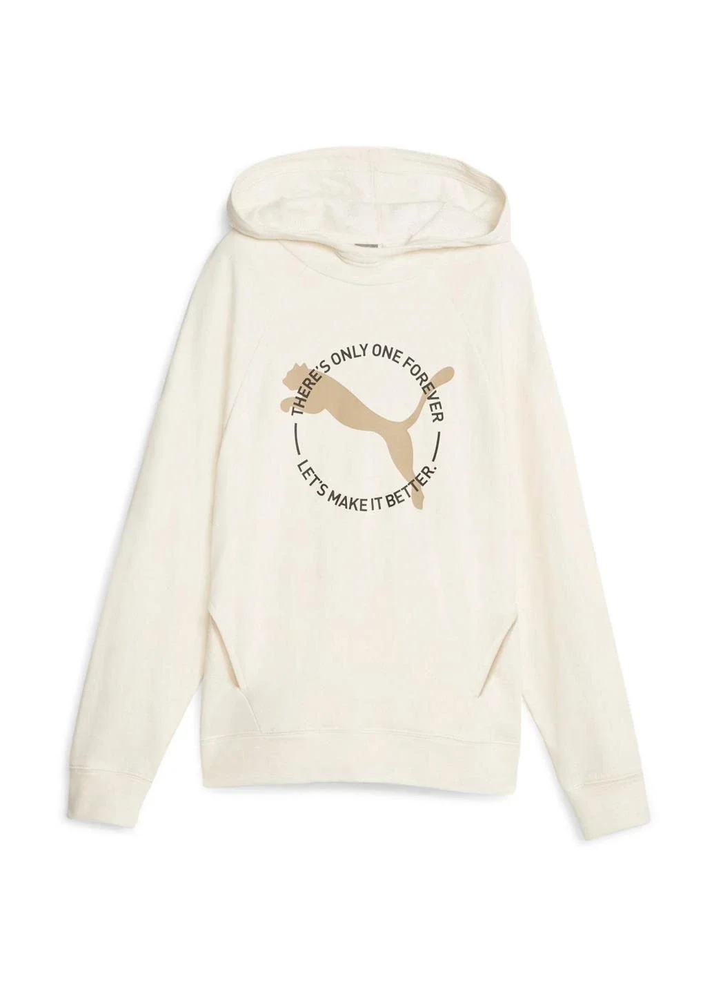 Кофта чоловіча Puma Better Sportswear Hoodie (67606499)