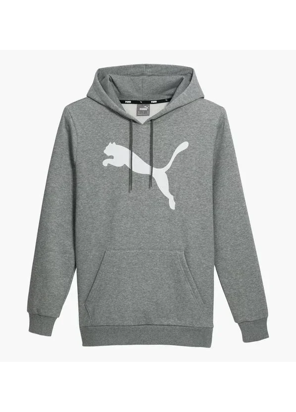 Кофта чоловіча Puma Big Cat Logo Grey (672712-03)