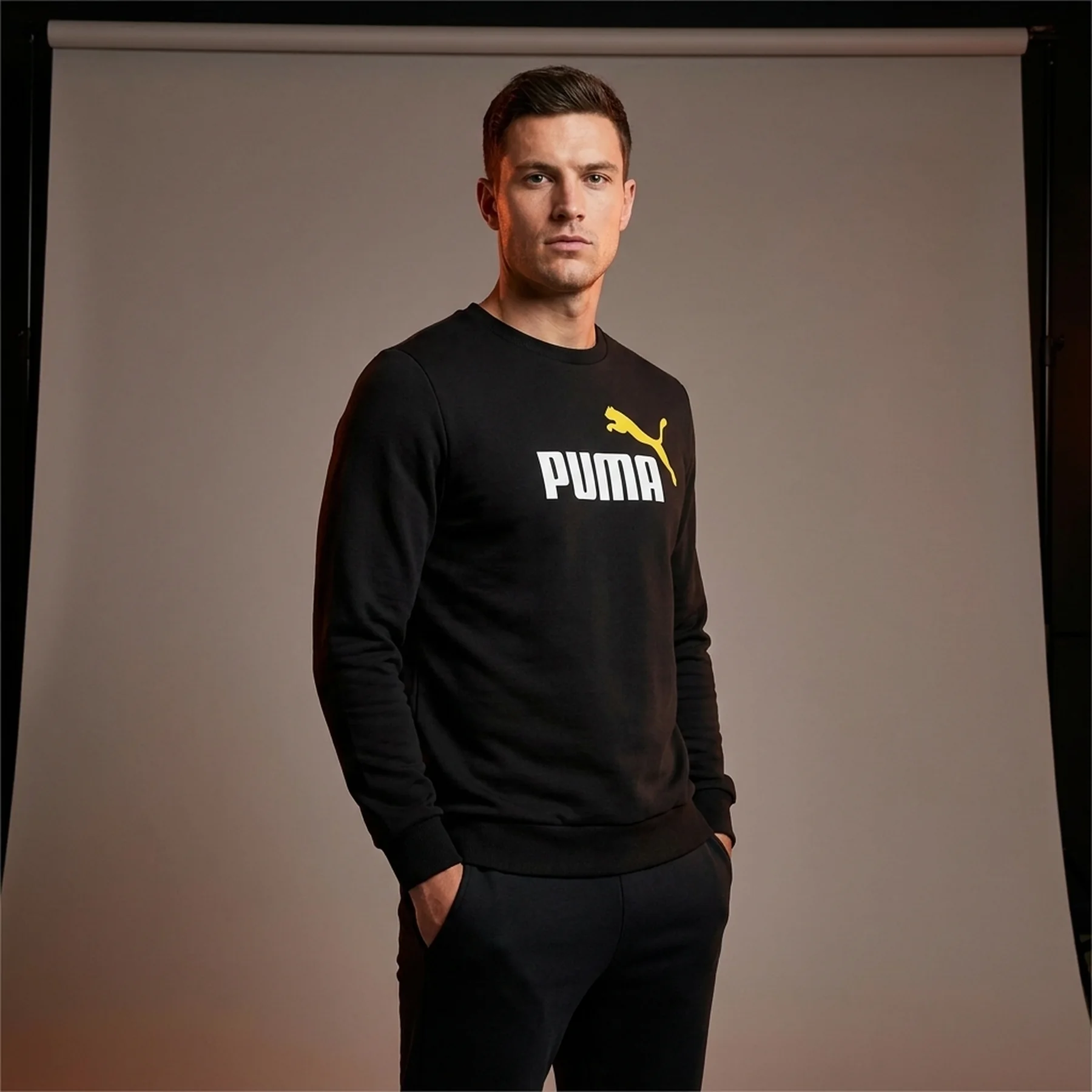Кофта чоловіча Puma Ess+ 2 Col Big Logo Crew (58676254)