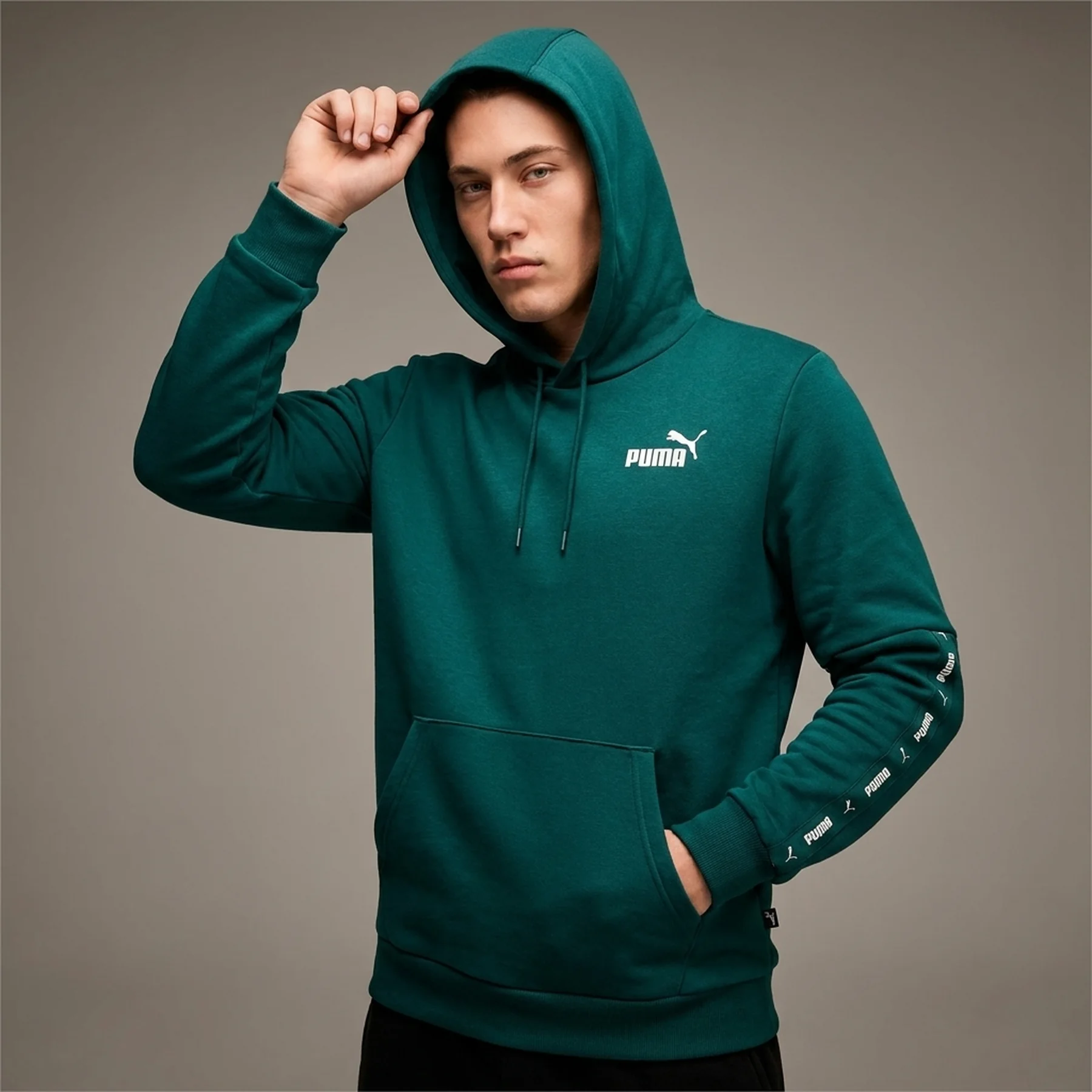 Кофта чоловіча Puma Essential Tape Green (849040-08)