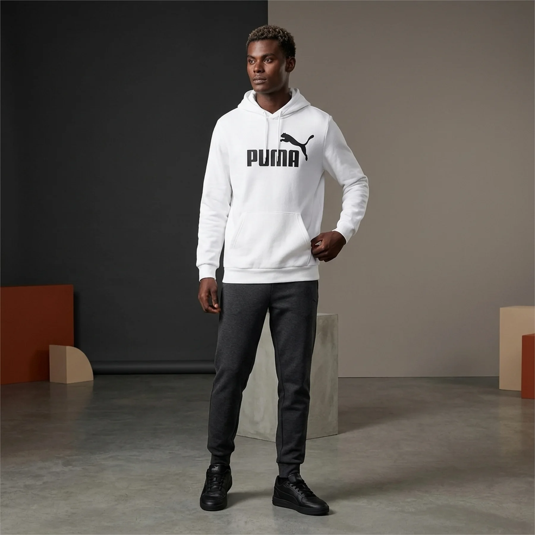 Кофта чоловіча Puma Essentials Big Logo Hoodie (846812-02)