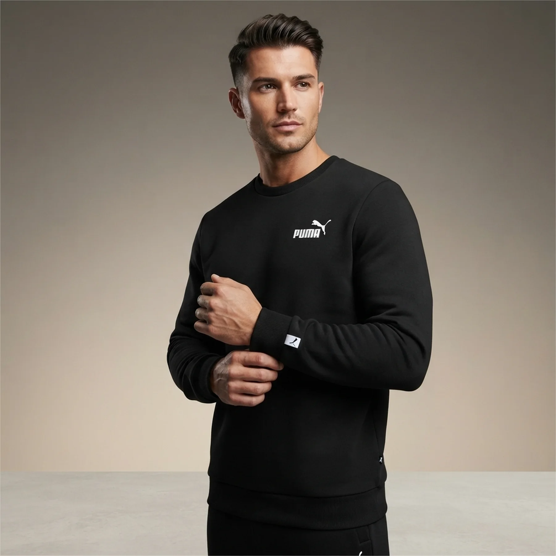 Кофта чоловіча Puma Essentials Small Logo Crew (586682-01)