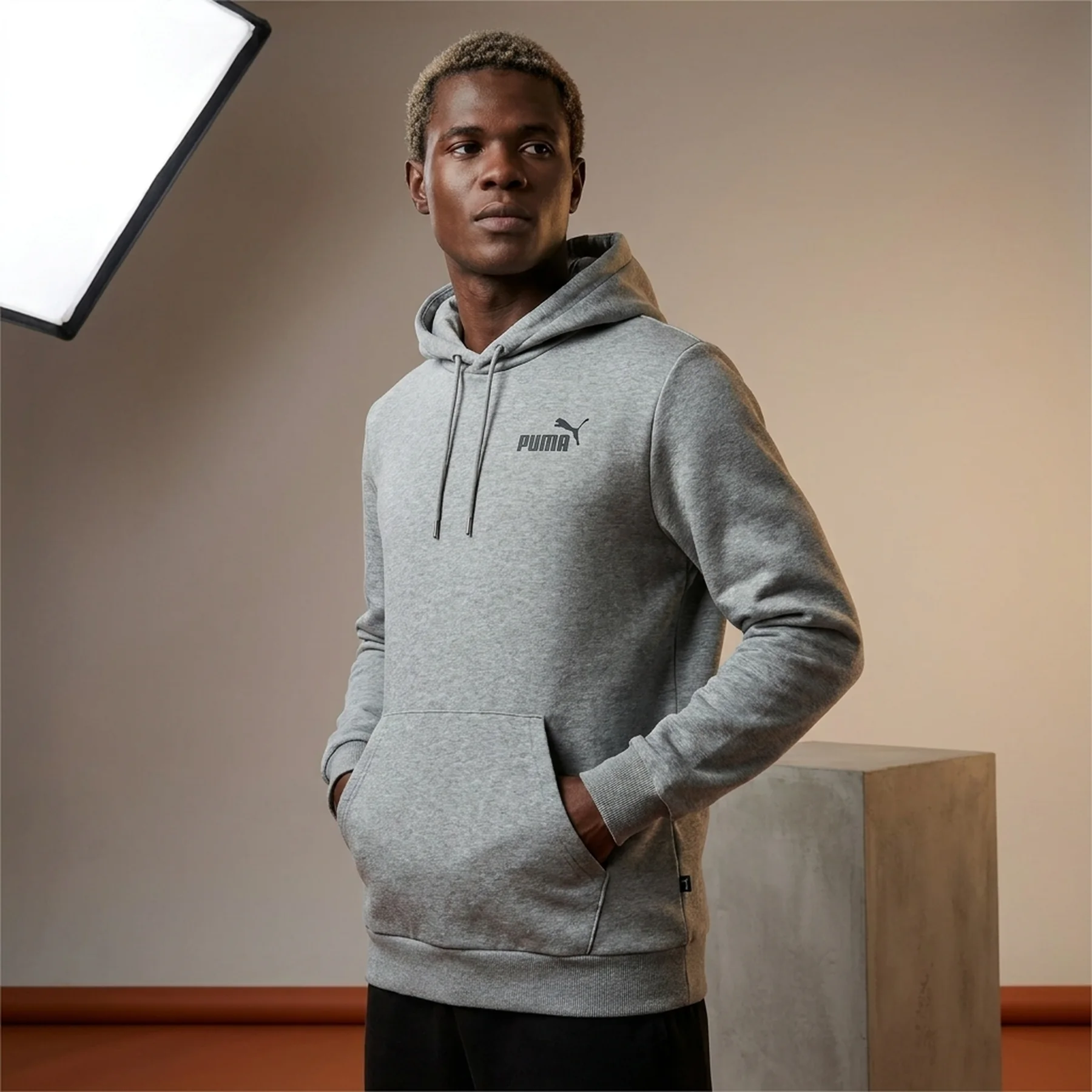 Кофта чоловіча Puma Essentials Small Logo Hoodie Grey (586690-03)