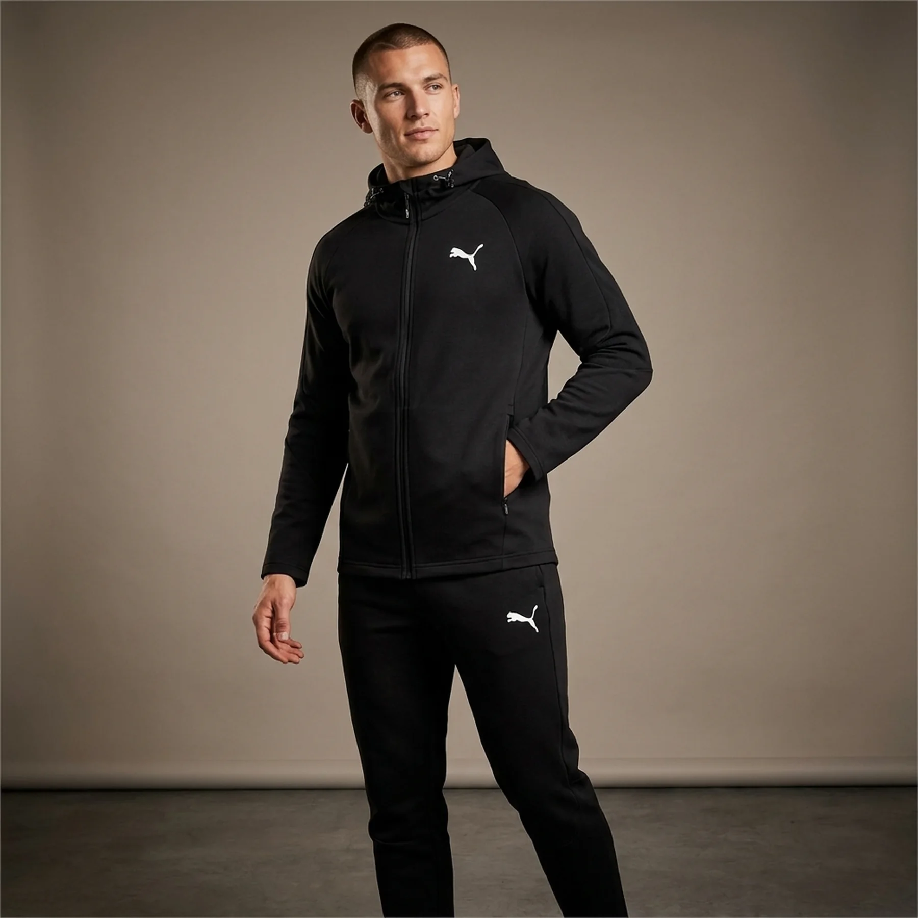 Кофта чоловіча Puma Evostripe Full-Zip Hoodie (681700-01)