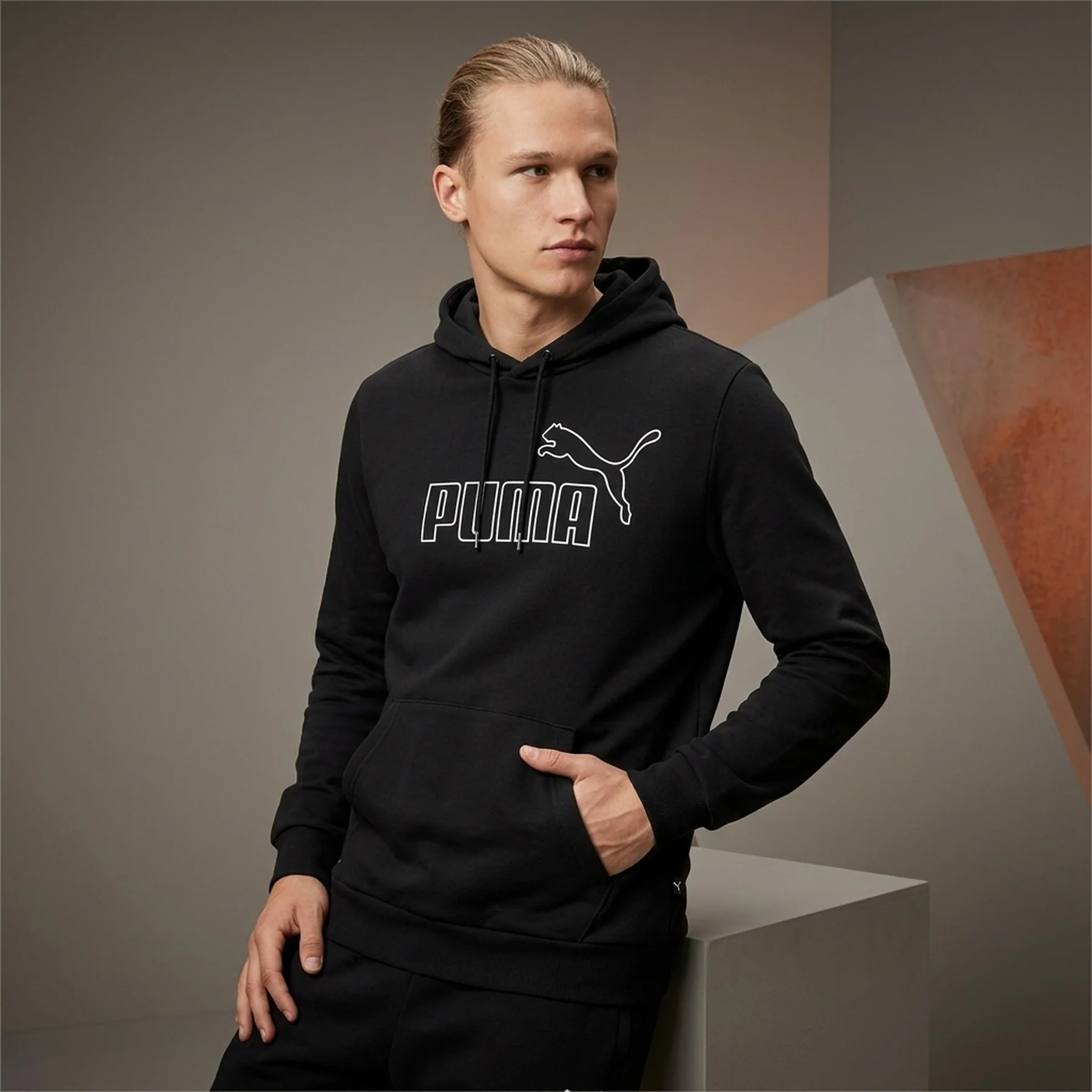 Кофта чоловіча Puma Power Logo Hoodie (84988801)