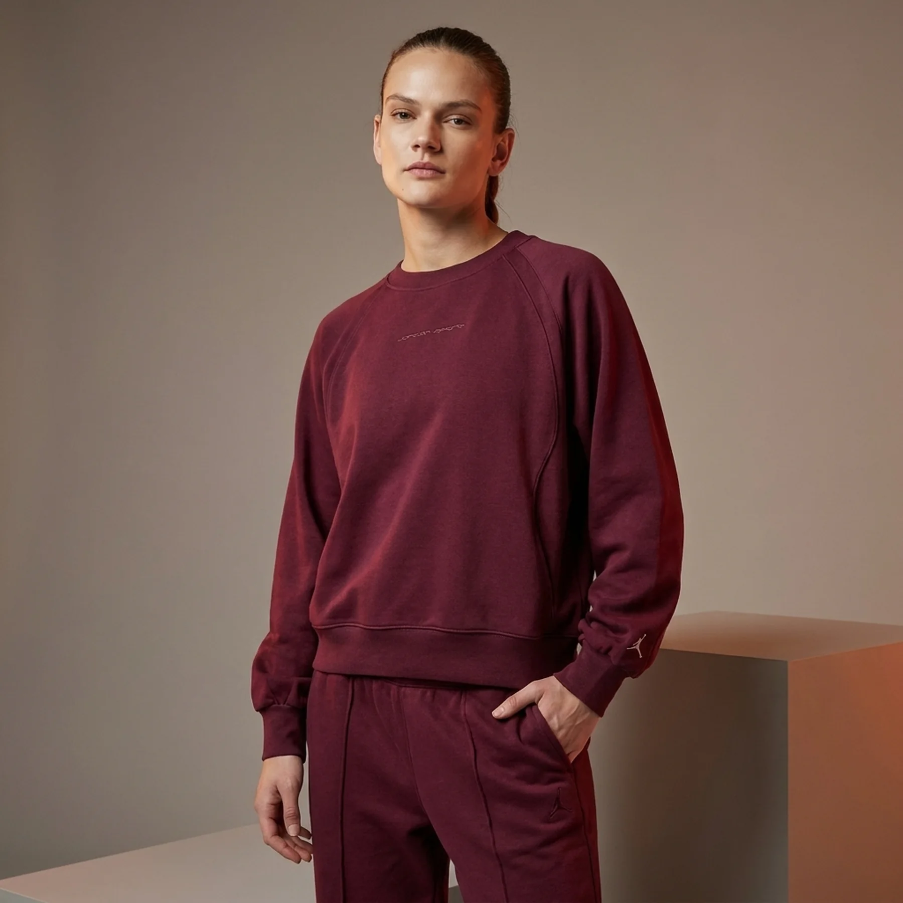 Кофта жіночі Jordan Graphic Fleece Bordo (FN5122-681)