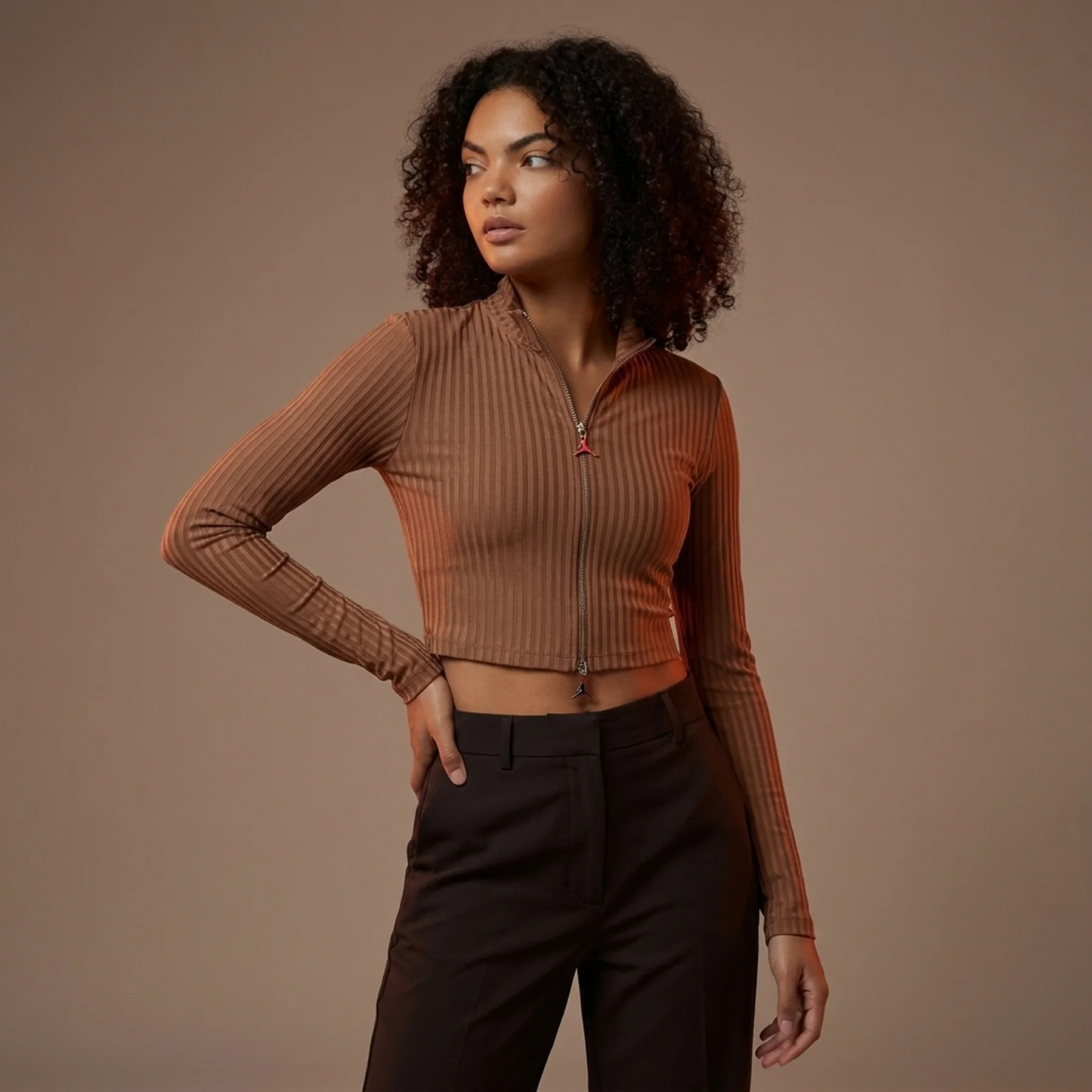 Кофта жіночі Jordan Long-Sleeve Top Brown (FV7185-223)