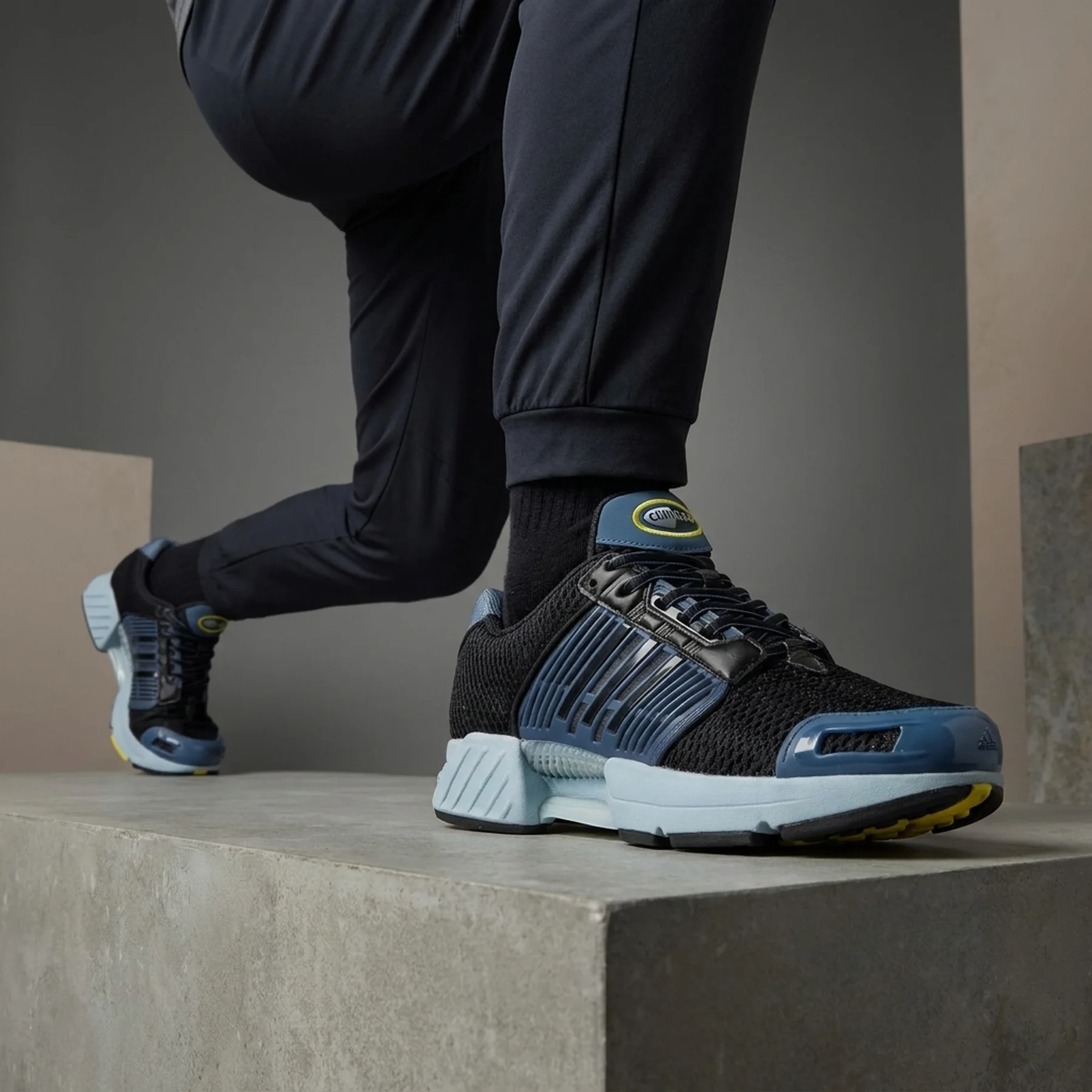 Кросівки Adidas Climacool 1