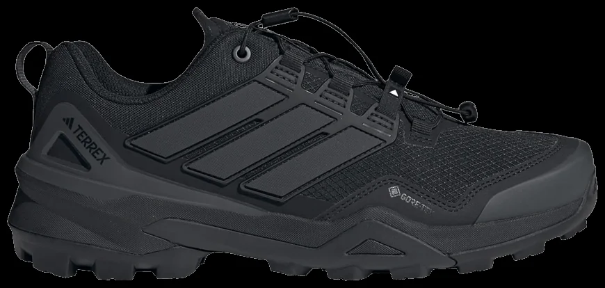 Кросівки Adidas Terrex Skychaser GTX