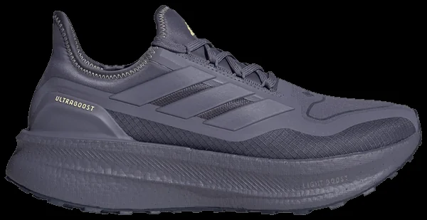 Кросівки Adidas Ultraboost GTX