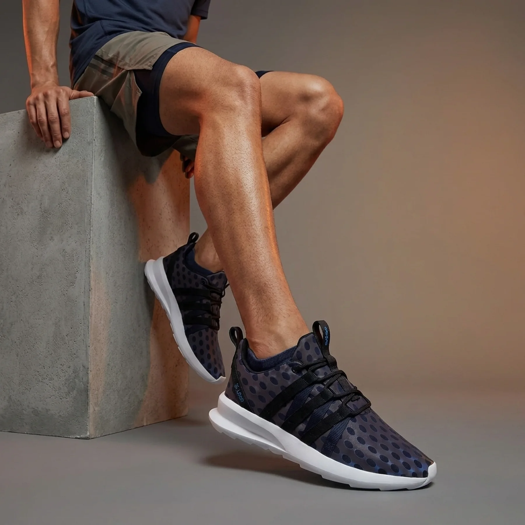 Кросівки чоловічі Adidas Sl Loop Ct Mens Running Navy (D69868)