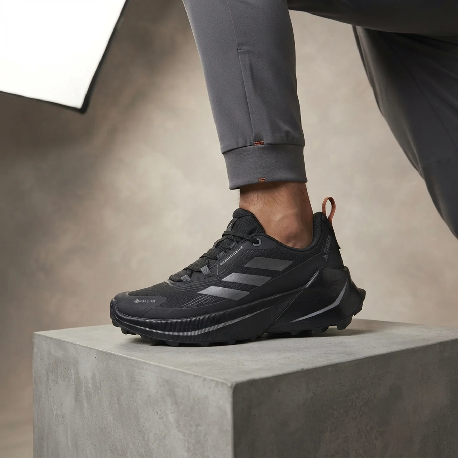 Кросівки чоловічі Adidas Terrex Trailmaker 2 Gtx (IE5154)