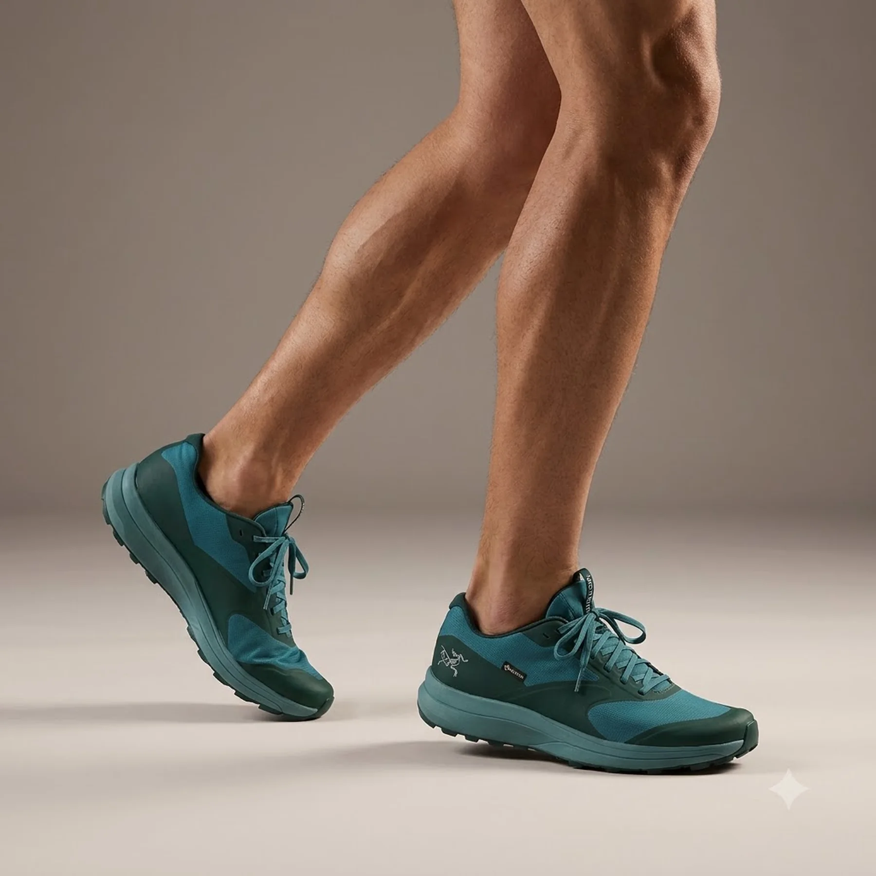 Кросівки чоловічі Arc'teryx Norvan Ld 3 Gtx Shoe Blue Tetra/Pytheas (X000006998)