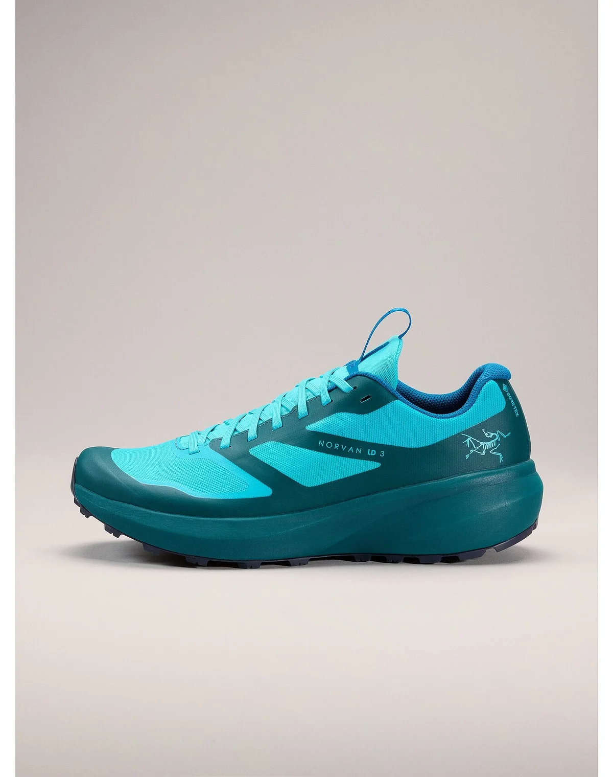Кросівки чоловічі Arc'teryx Norvan Ld 3 Gtx Shoe Blue Tetra/Pytheas (X000006998)