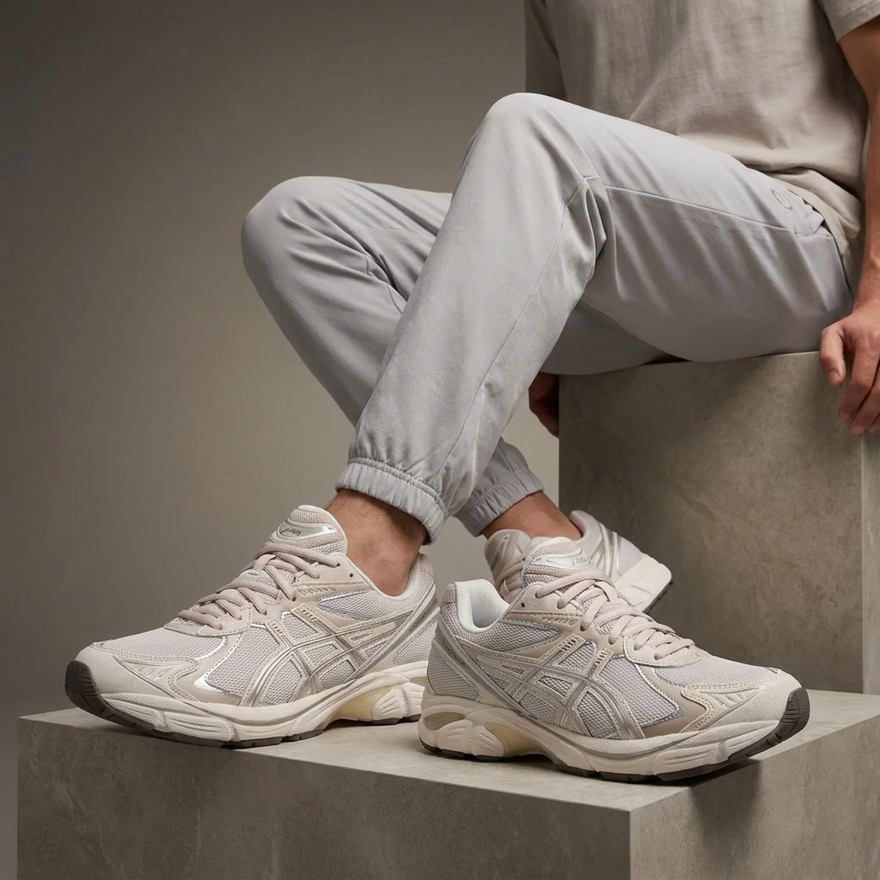 Кросівки чоловічі Asics Gt-2160 (1203A320-250)