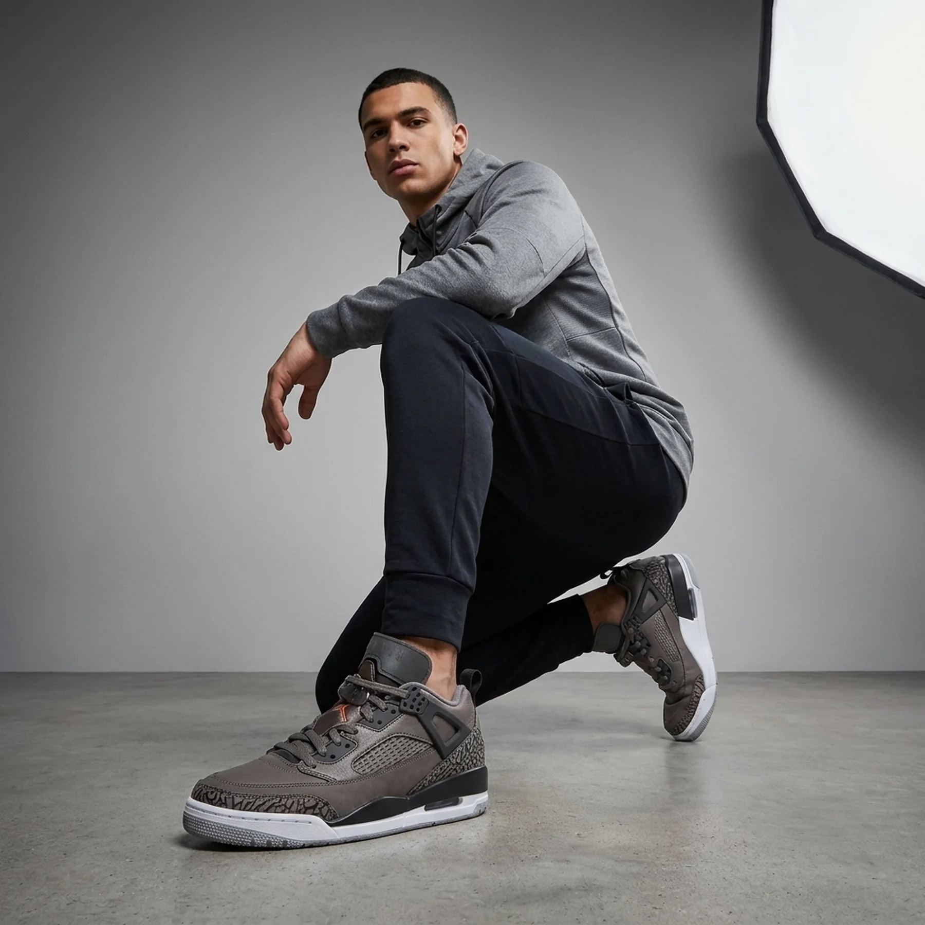 Кросівки чоловічі Jordan Air Spizike Low (FQ1759-201)