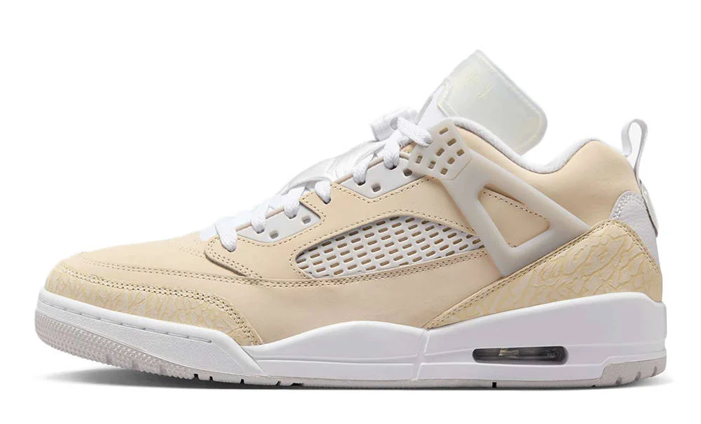 Кросівки чоловічі Jordan Air Spizike Low (HV6528-100)