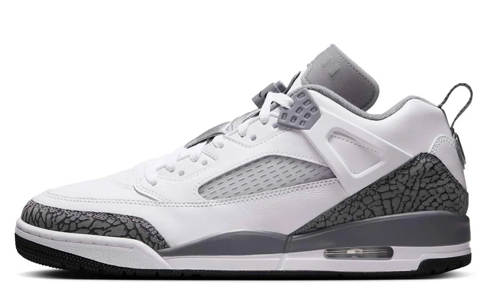 Кросівки чоловічі Jordan Spizike Low (FQ1759-102)
