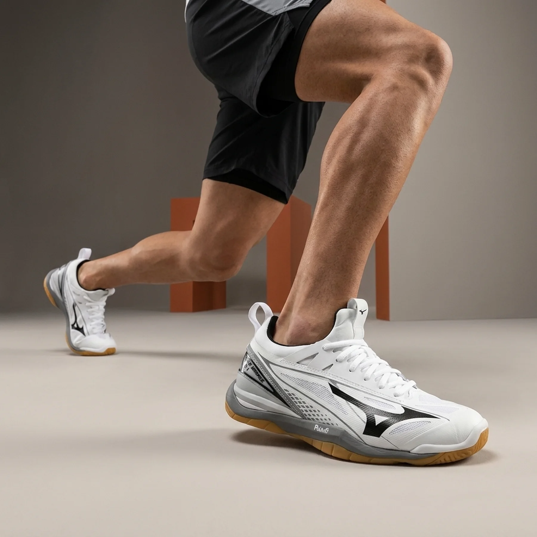 Кросівки чоловічі Mizuno Wave Mirage (X1GA1850-09)