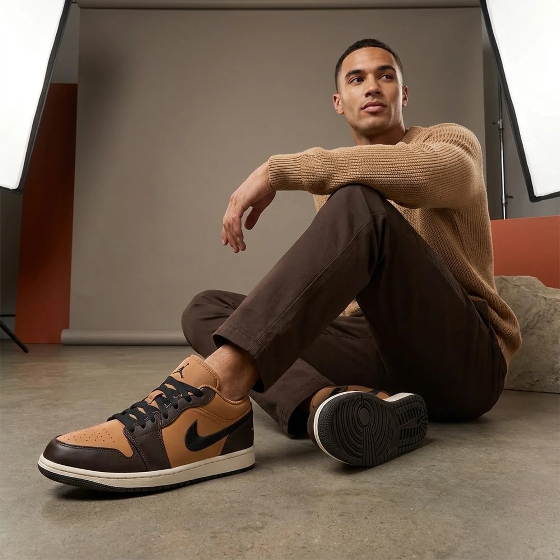 Кросівки чоловічі Nike Air Jordan 1 Low Se (HQ3603-201)