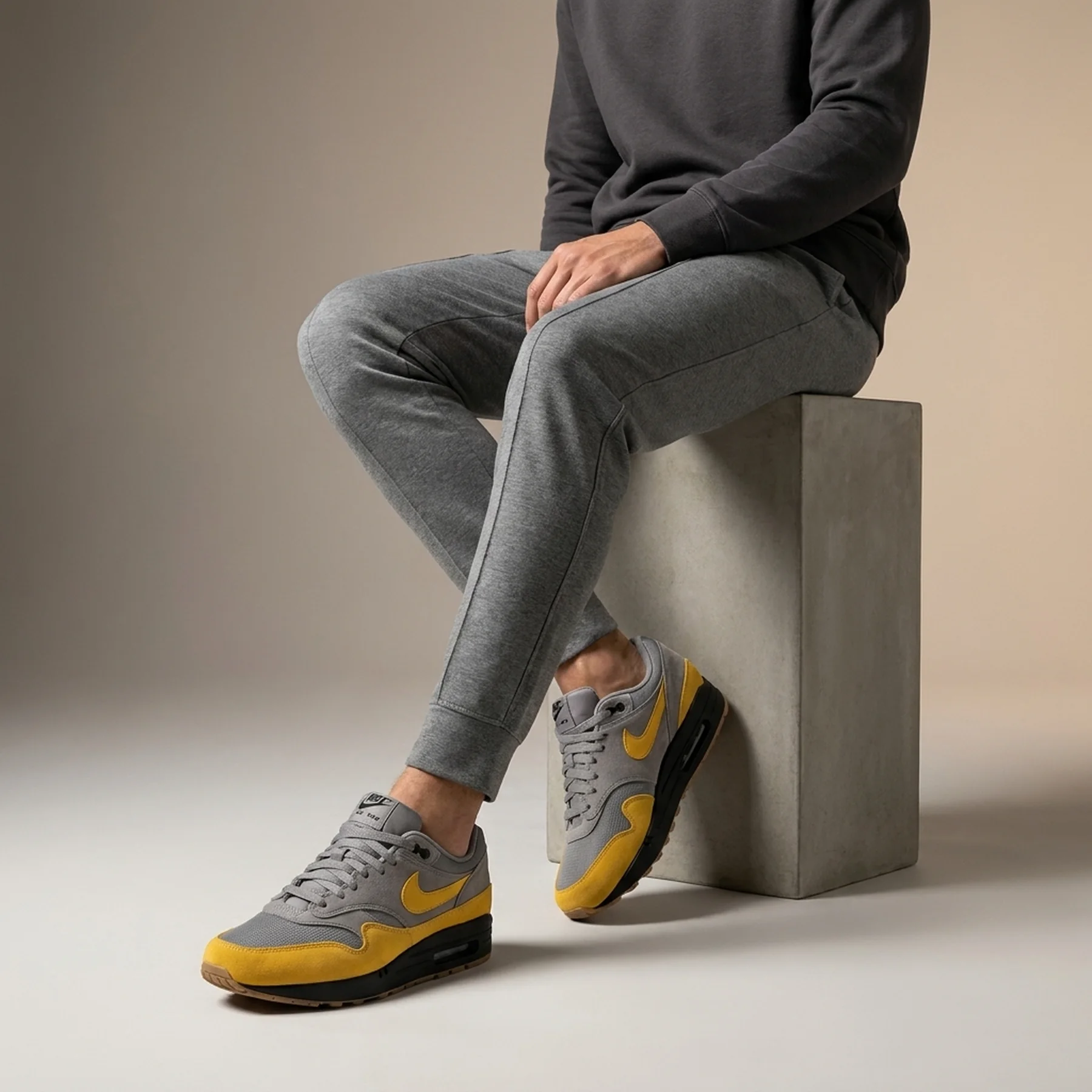 Кросівки чоловічі Nike Air Max 1 Ess (FZ5808-014)