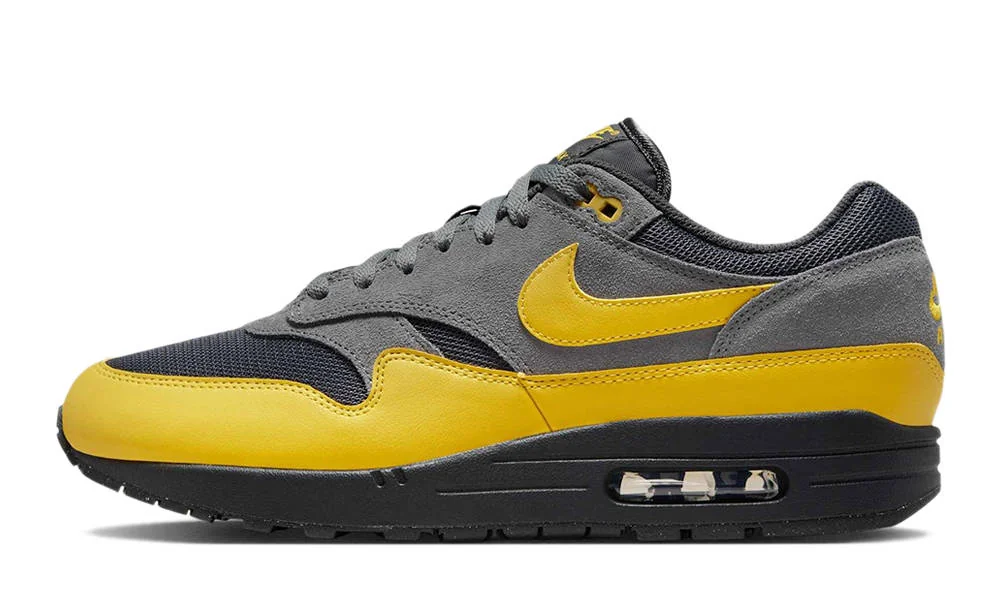 Кросівки чоловічі Nike Air Max 1 Ess (FZ5808-014)