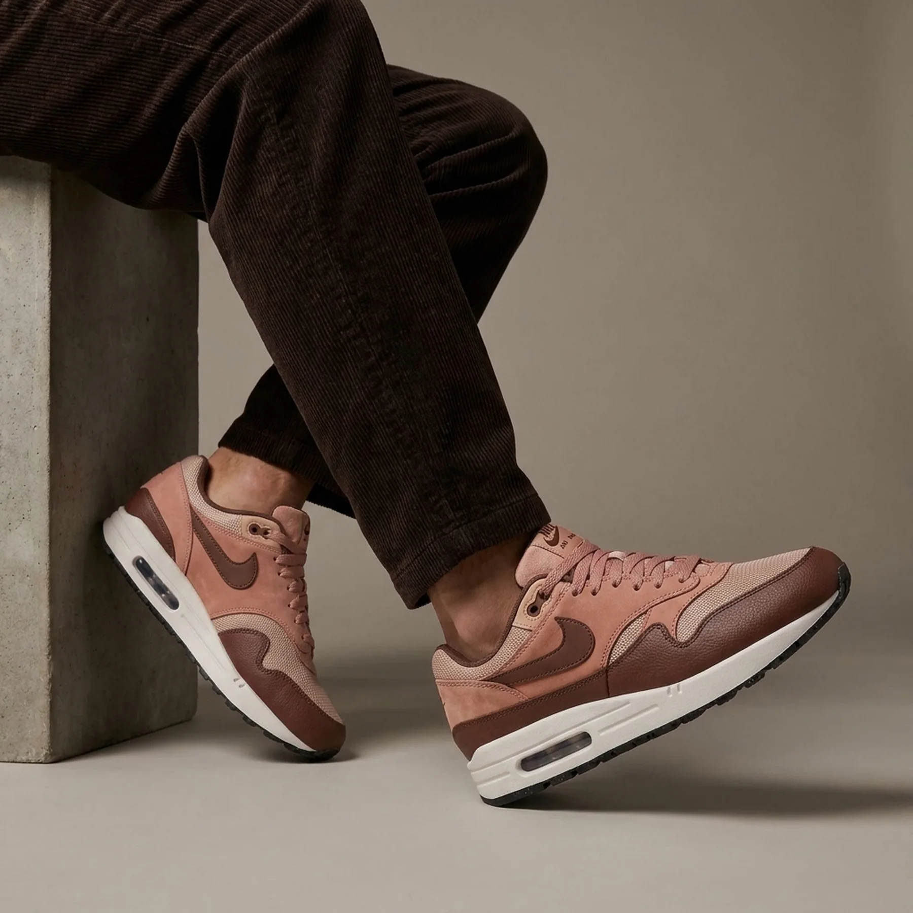 Кросівки чоловічі Nike Air Max 1 Sc (FB9660-200)