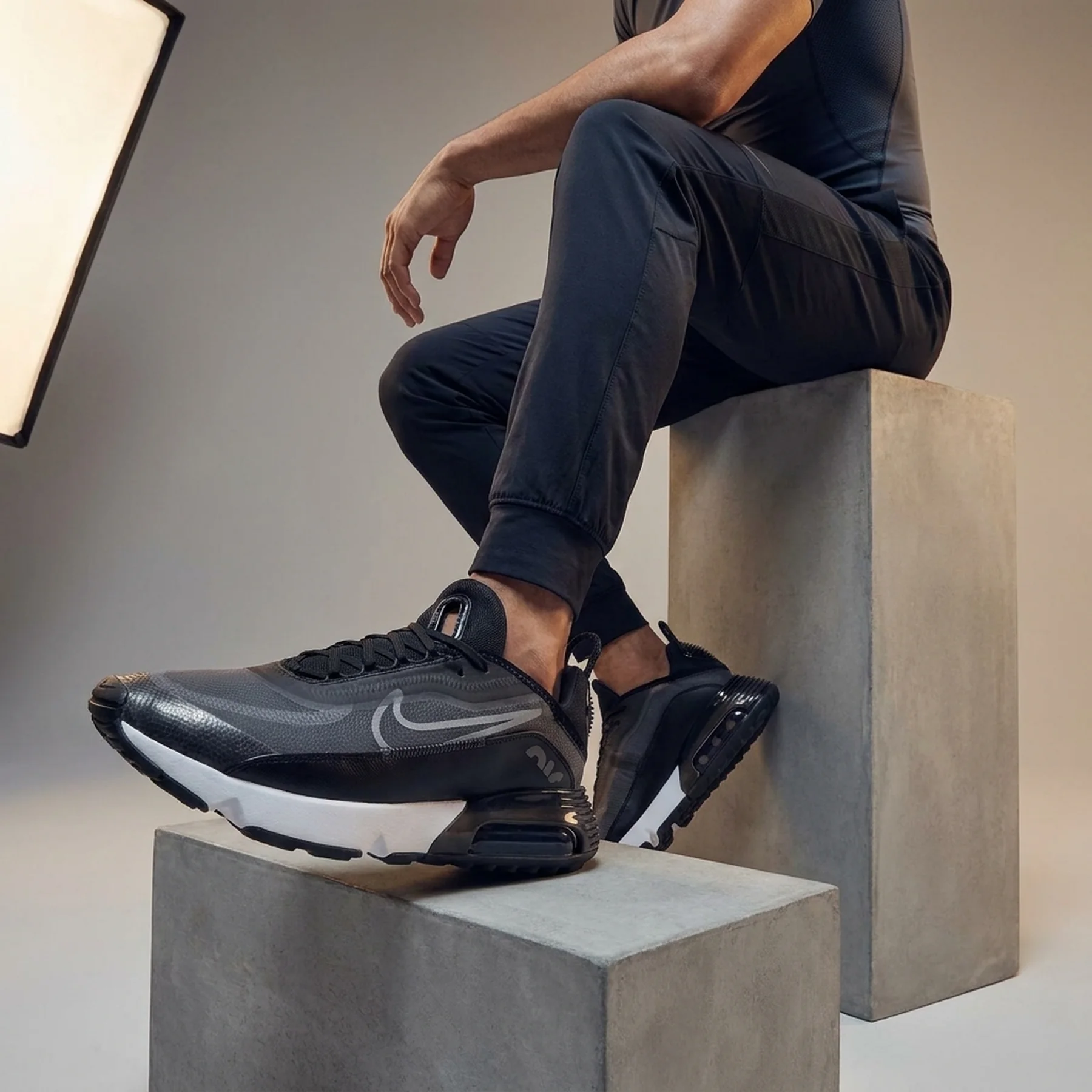 Кросівки чоловічі Nike Air Max 2090 (CW7306-001)
