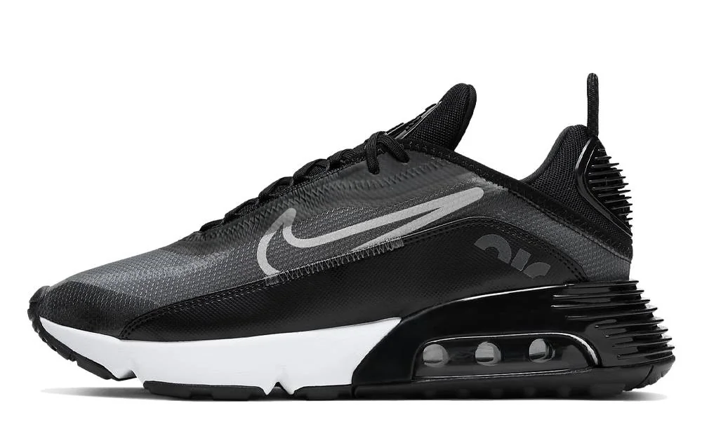 Кросівки чоловічі Nike Air Max 2090 (CW7306-001)