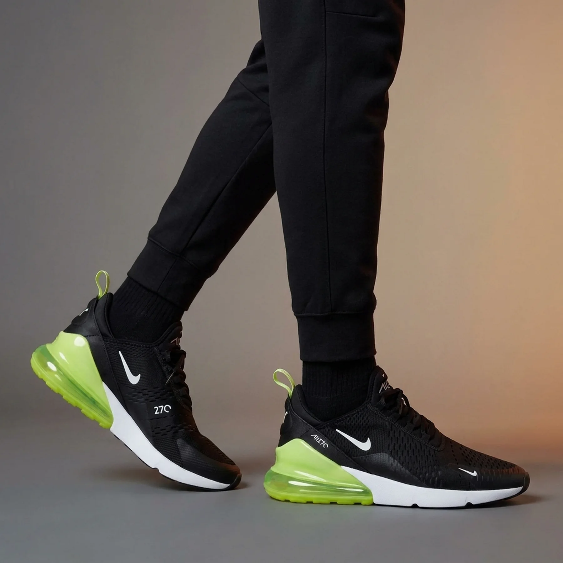 Кросівки чоловічі Nike Air Max 270 (AH8050-703)