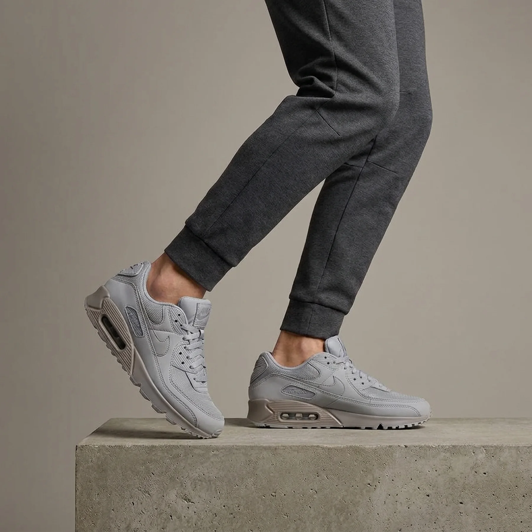 Кросівки чоловічі Nike Air Max 90 (CN8490-012)