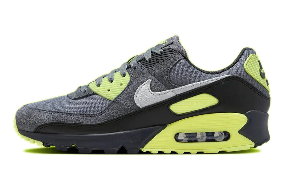 Кросівки чоловічі Nike Air Max 90 (DM0029-012)