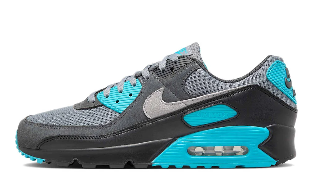 Кросівки чоловічі Nike Air Max 90 (DM0029-013)