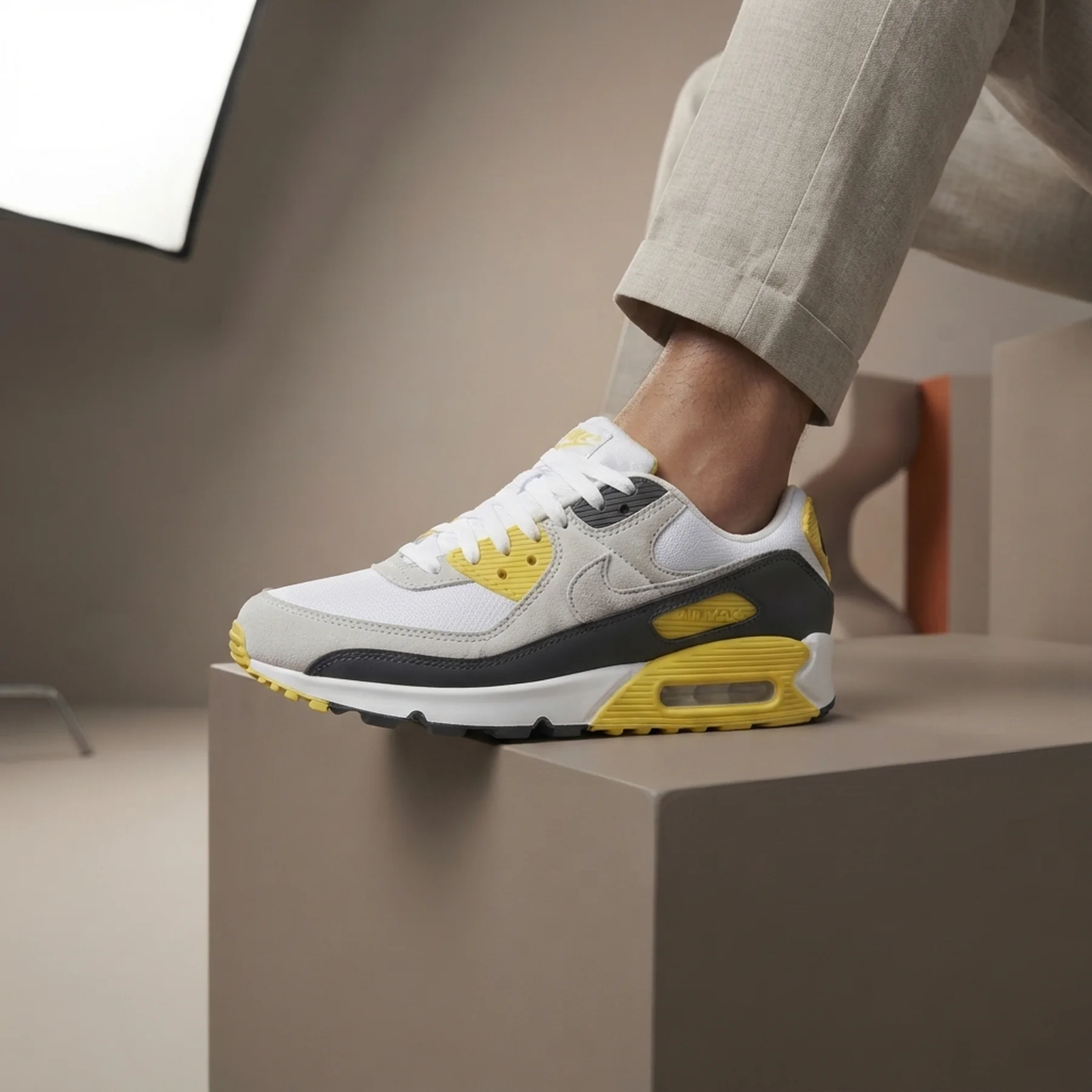 Кросівки чоловічі Nike Air Max 90 (DM0029-111)