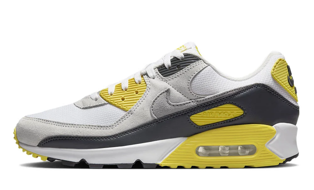 Кросівки чоловічі Nike Air Max 90 (DM0029-111)