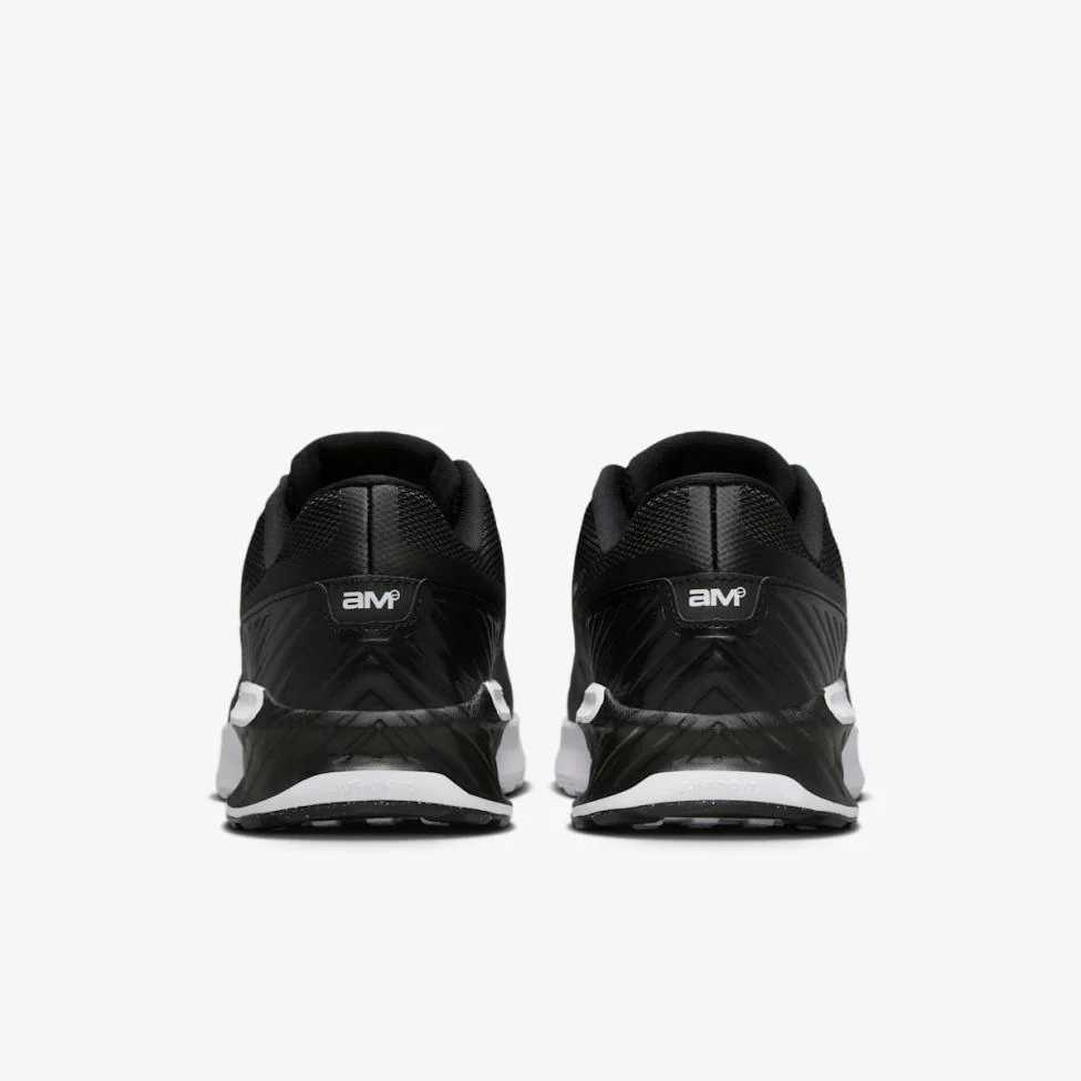 Кросівки чоловічі Nike Air Max Bia IF2624-005