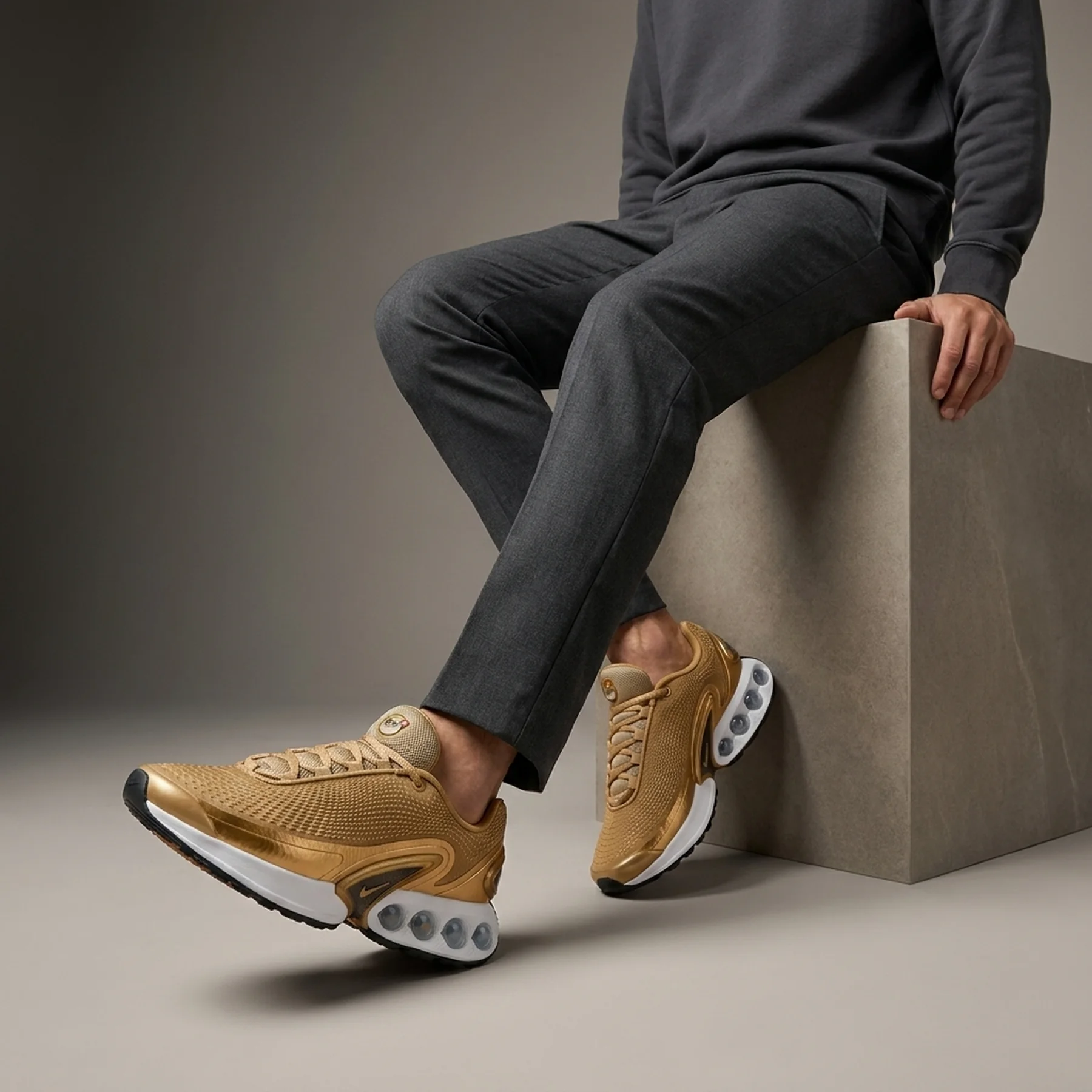 Кросівки чоловічі Nike Air Max Dn Premium (HJ9638-700)