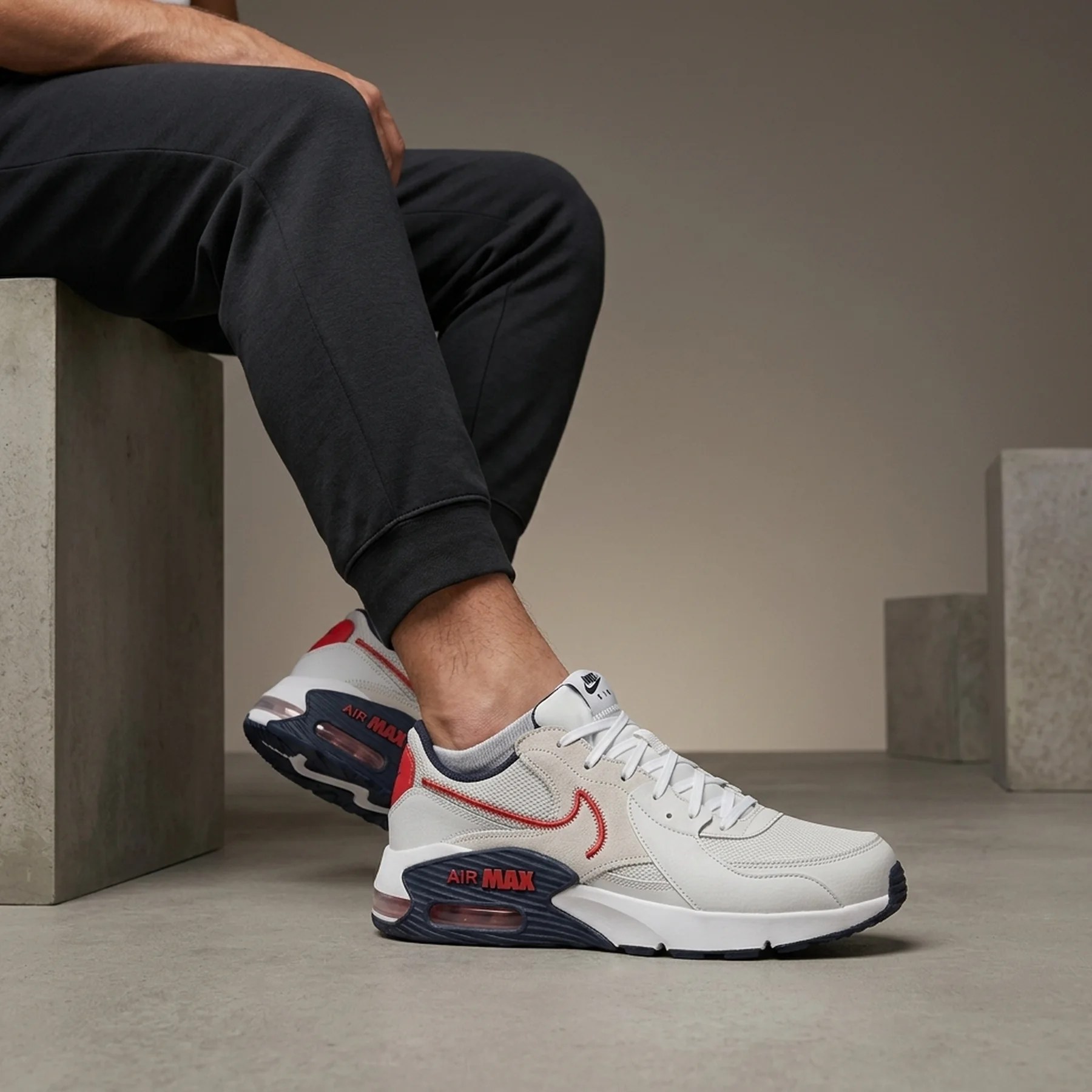 Кросівки чоловічі Nike Air Max Excee (DZ0795-013)