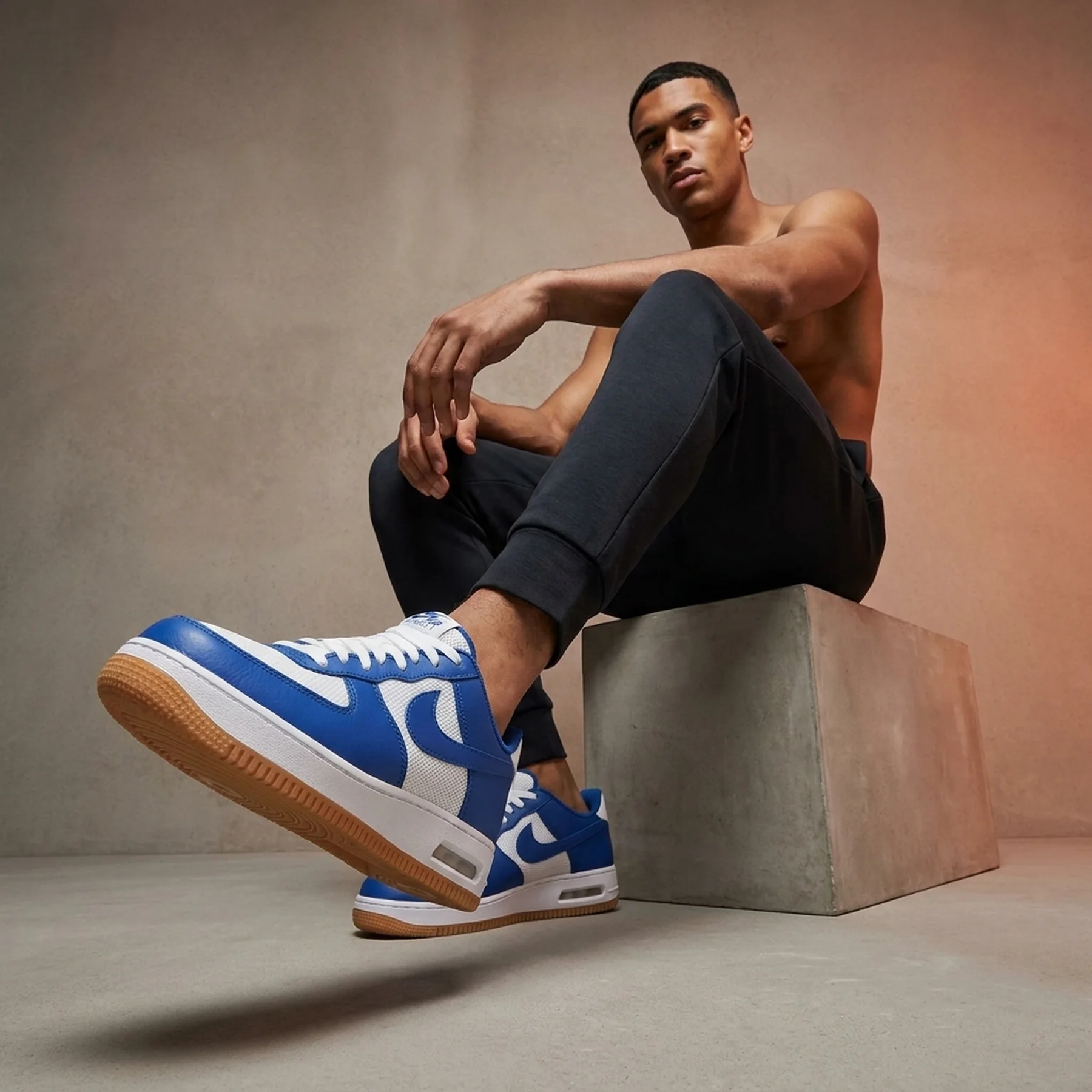Кросівки чоловічі Nike Air Max Force 1 Low Evo "Team Royal" (HF3630-400)