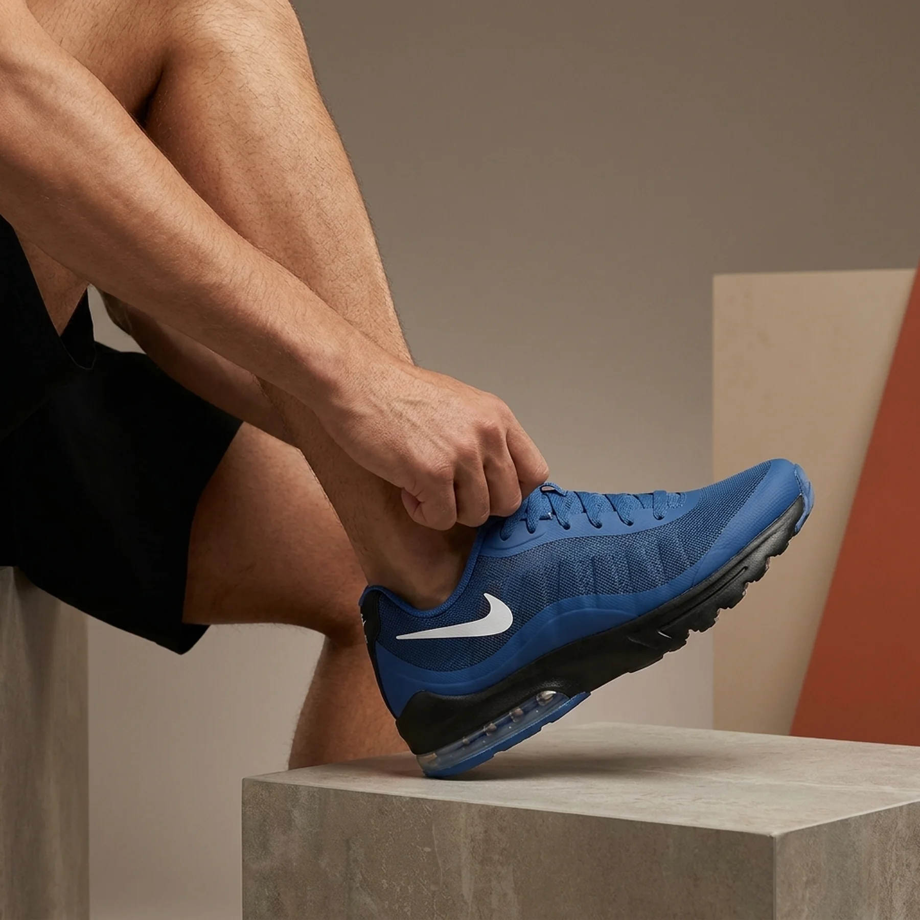 Кросівки чоловічі Nike Air Max Invigor (CK0898-400)