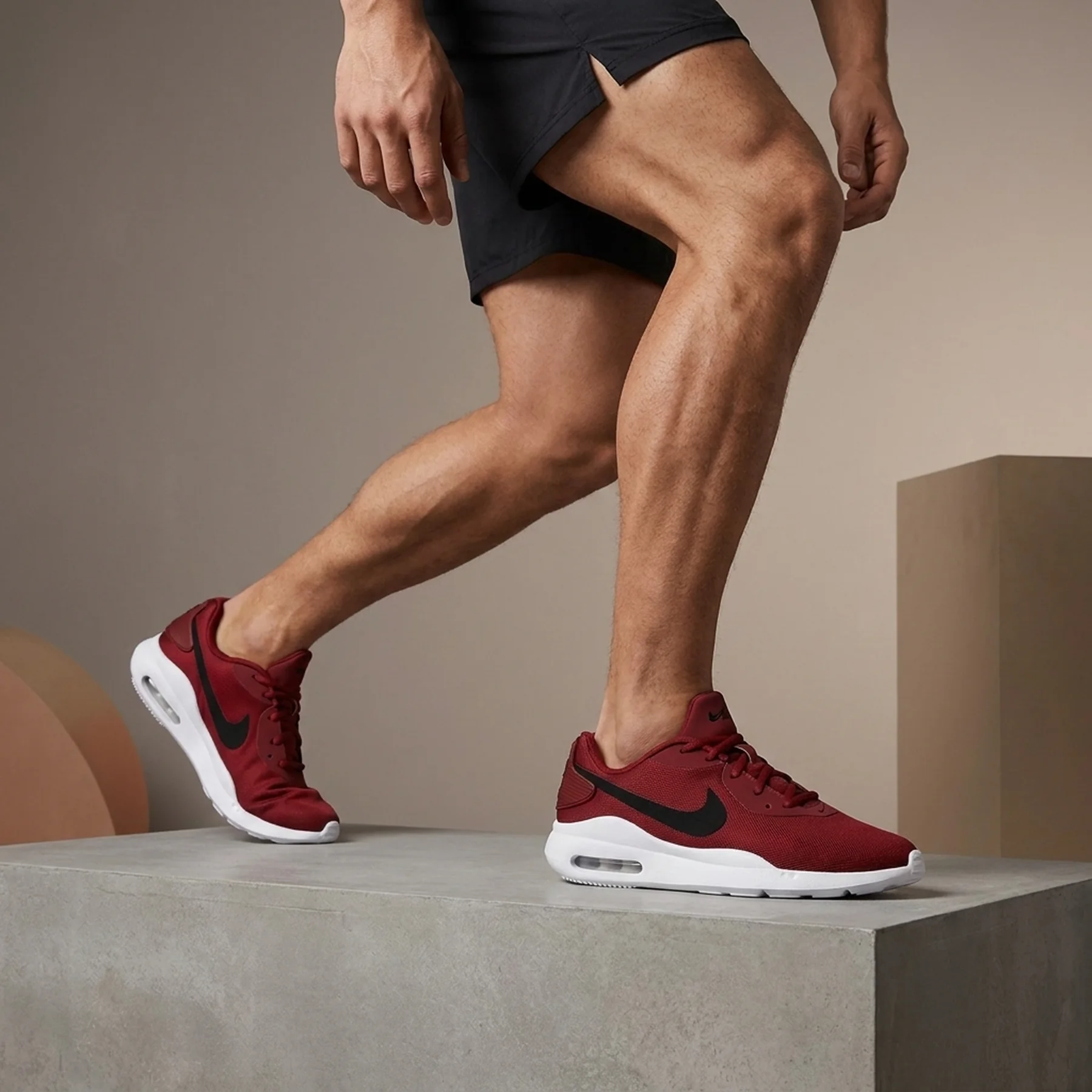 Кросівки чоловічі Nike Air Max Oketo (AQ2235-600)