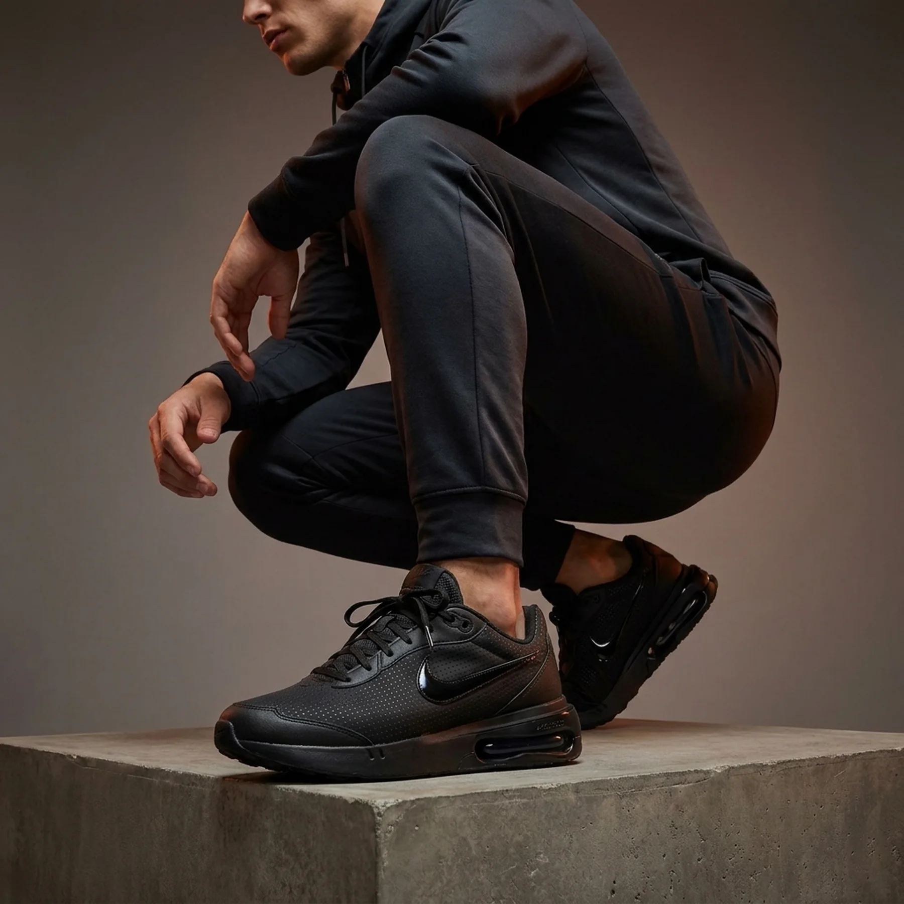 Кросівки чоловічі Nike Air Max Phoenix (FZ5307-004)