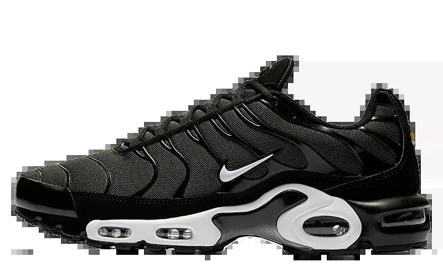 Кросівки чоловічі Nike Air Max Plus (852630-031)